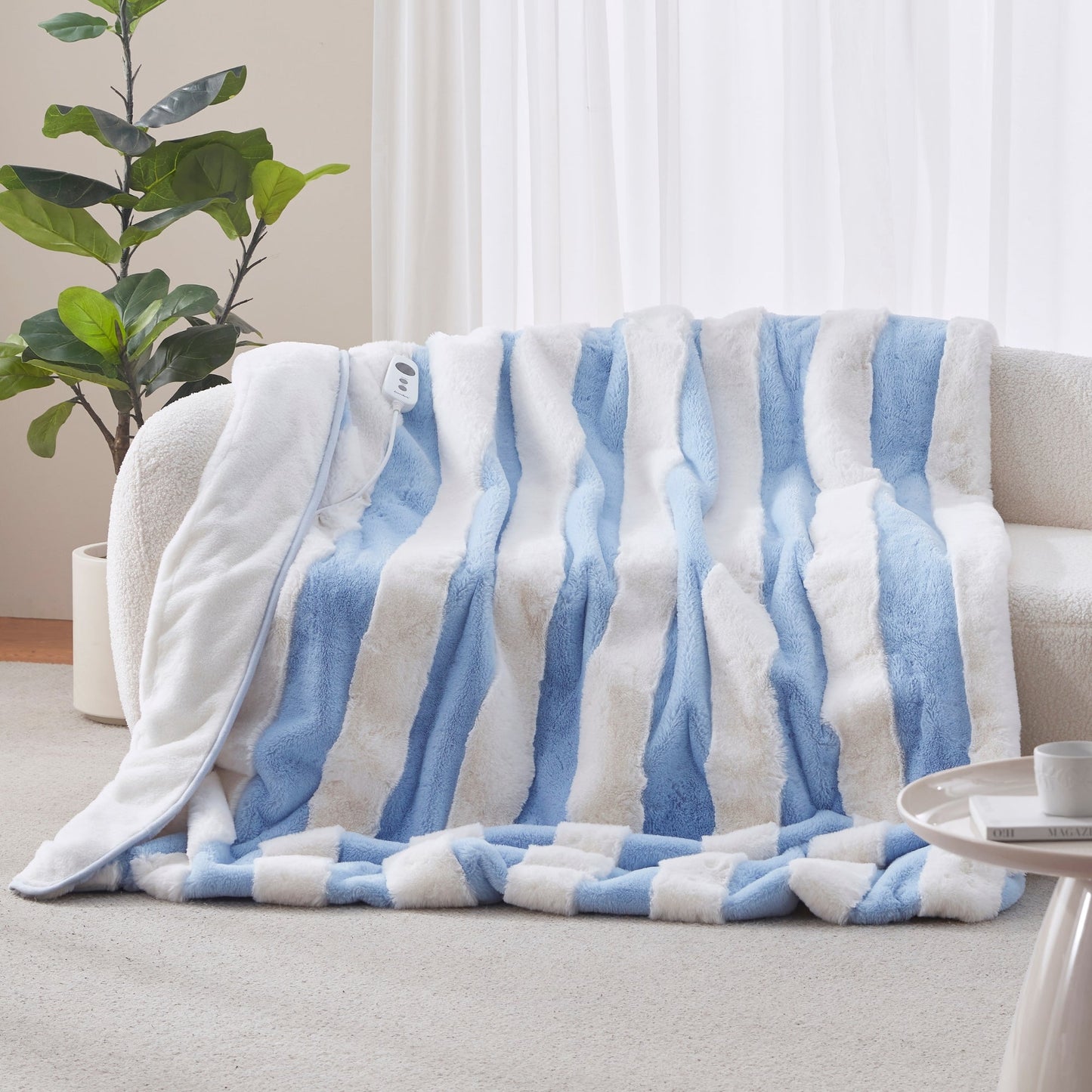 Winter 2026 Collection