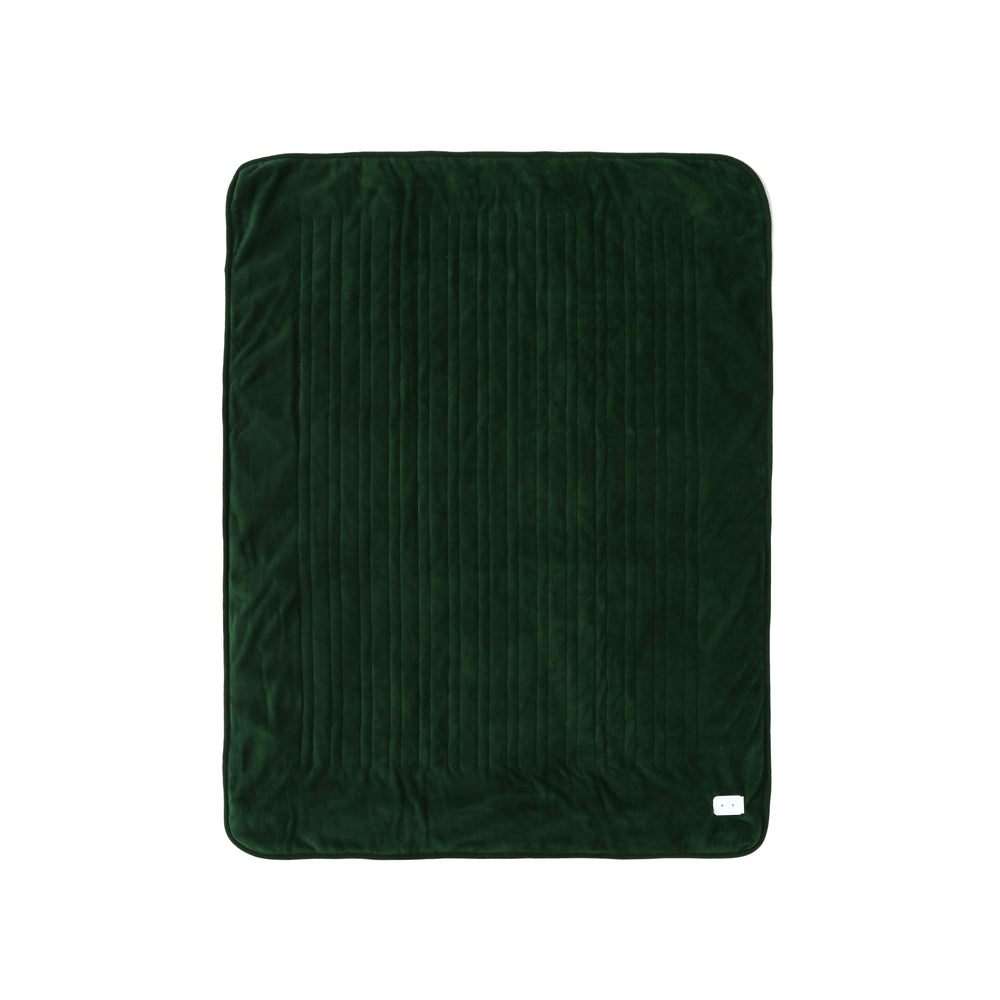 
                      
                        Dreamaker 500gsm Faux Fur Heated Throw Eden Green
                      
                    